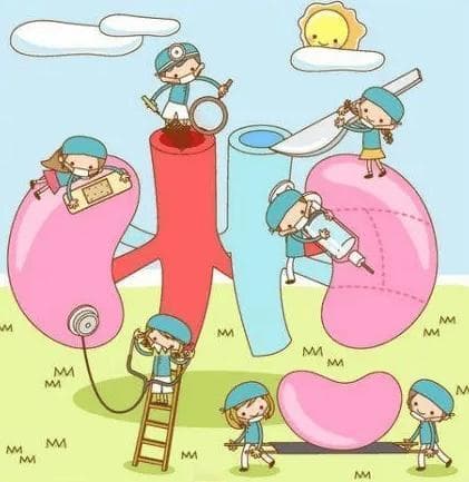 健康指南 | 韩青：早期肾病不痛不痒，如何早发现和预防？