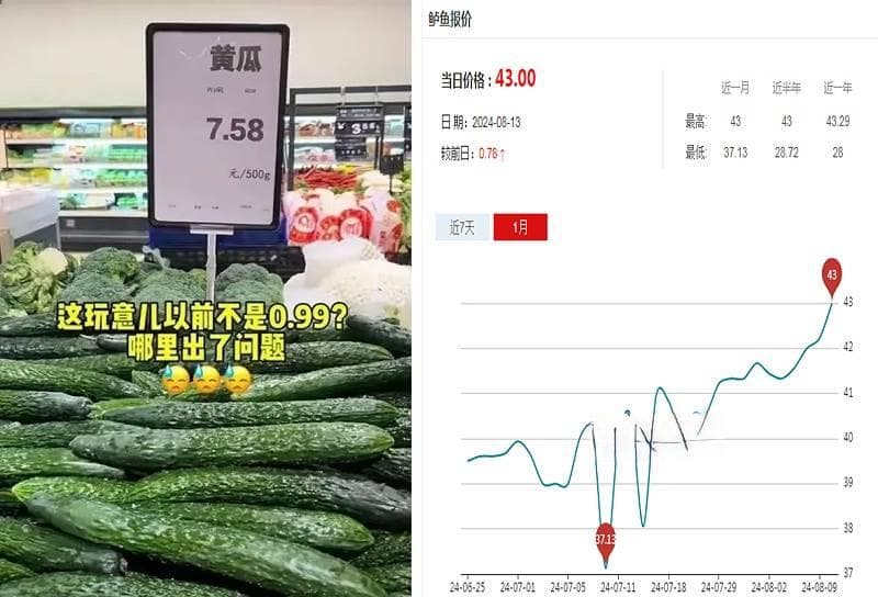 高价海鲈的“平替”找到啦！餐饮消费的理性之选与市场应变