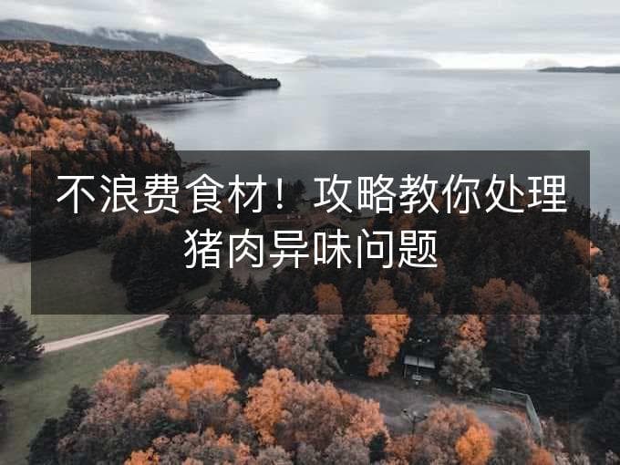 不浪费食材！攻略教你处理猪肉异味问题