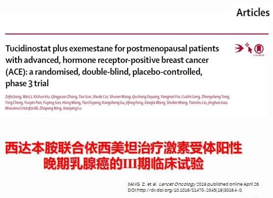 托福写作AI评分系统准确性探究：揭秘智能评分技术的实效性