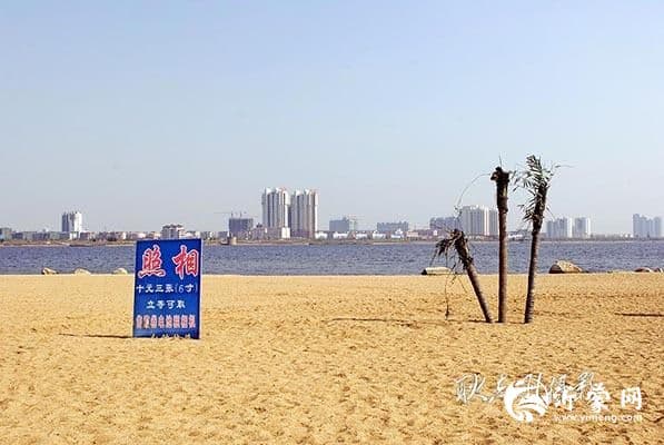 李群与临沂北城新区：城市崛起的“造梦者”