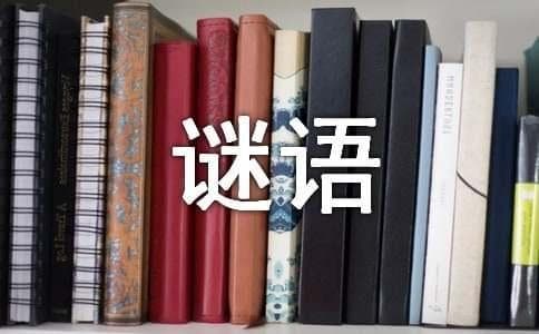 红楼梦中经典的谜语