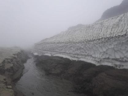 3万年前的剑齿虎宝宝现世！竟然还有胡须和爪子