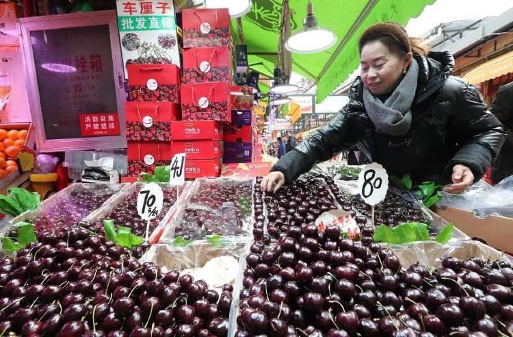 车厘子降价真相：网络卖惨营销多，经销商坦言好货依旧畅销