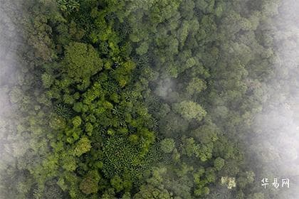 天干地支：中国古代历法的智慧结晶