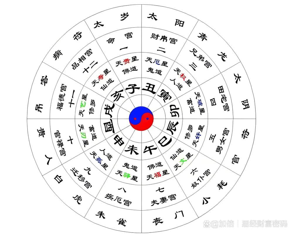 十二生肖起源：融合历史、传说与天文历法的文化瑰宝