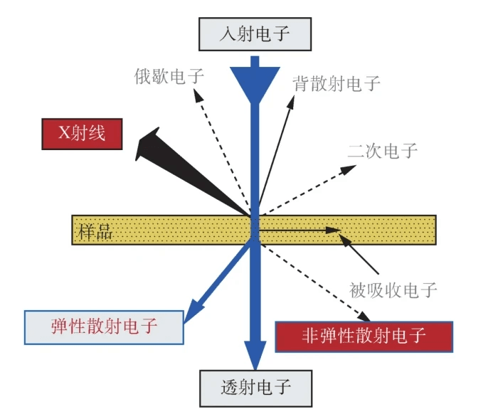 能谱分析法（EDS）怎么对材料进行定性定量分析？