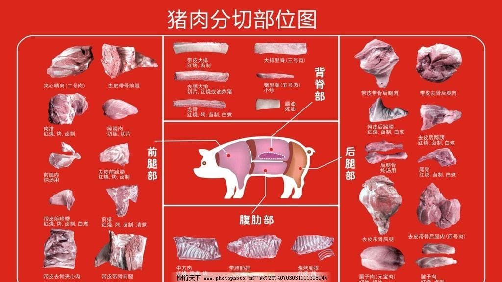 猪的各部位名称及做法