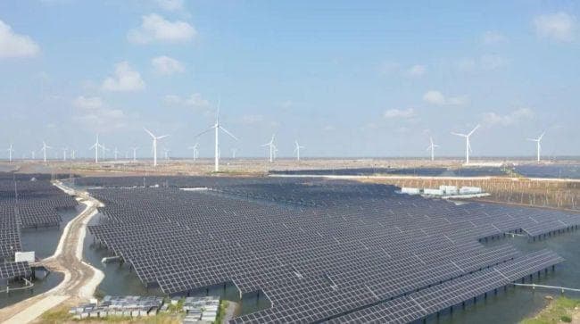 山东省东营市利津县：上有光伏下有鱼 “渔光互补”双丰收