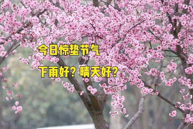 惊蛰至，万物生：下雨好还是晴天好？农谚里的智慧