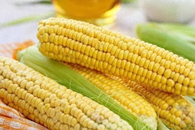 玉米虽好，谁能吃？四类人群要当心，“黄金谷物”玉米的双面刃
