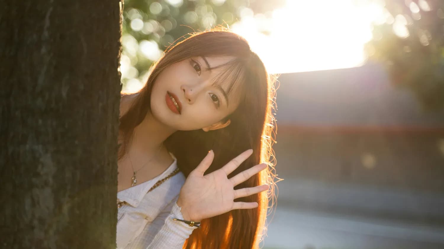 《暮色回响》：一首歌，7亿次播放，道出你我心中最柔软的部分