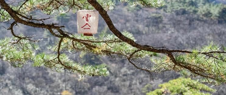 优化技巧大揭秘，新电脑不再难驾驭！