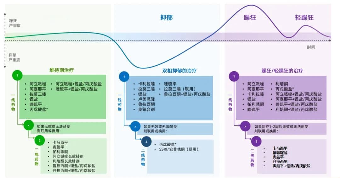 双相情感障碍的诊断、病因、治疗全程管理：关键问题的最新进展