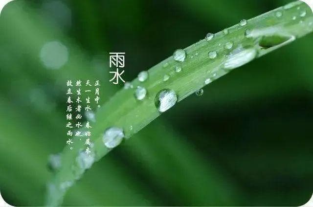 雨水节气的由来、习俗与养生指南