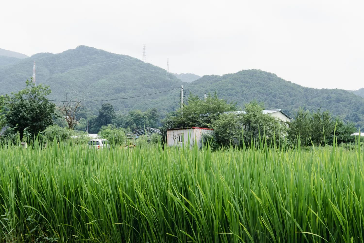 湖北首家金融服务驿站落户阳新县新屋村，为乡村振兴注入金融活水