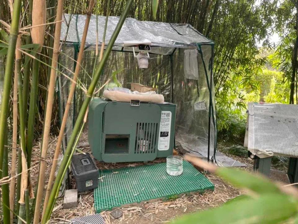 云喂养"毛孩子" 科技守护流浪猫 | 数字上海十大场景Top20