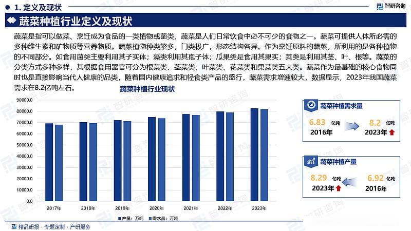 中国蔬菜种植行业市场运行动态及投资潜力分析报告