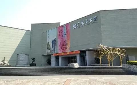 夜鹭：一种独特的中型水鸟