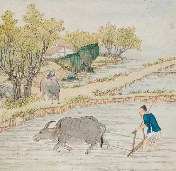 古之“玄鸟”能预示晴雨农时？看古人洞察自然的智慧！