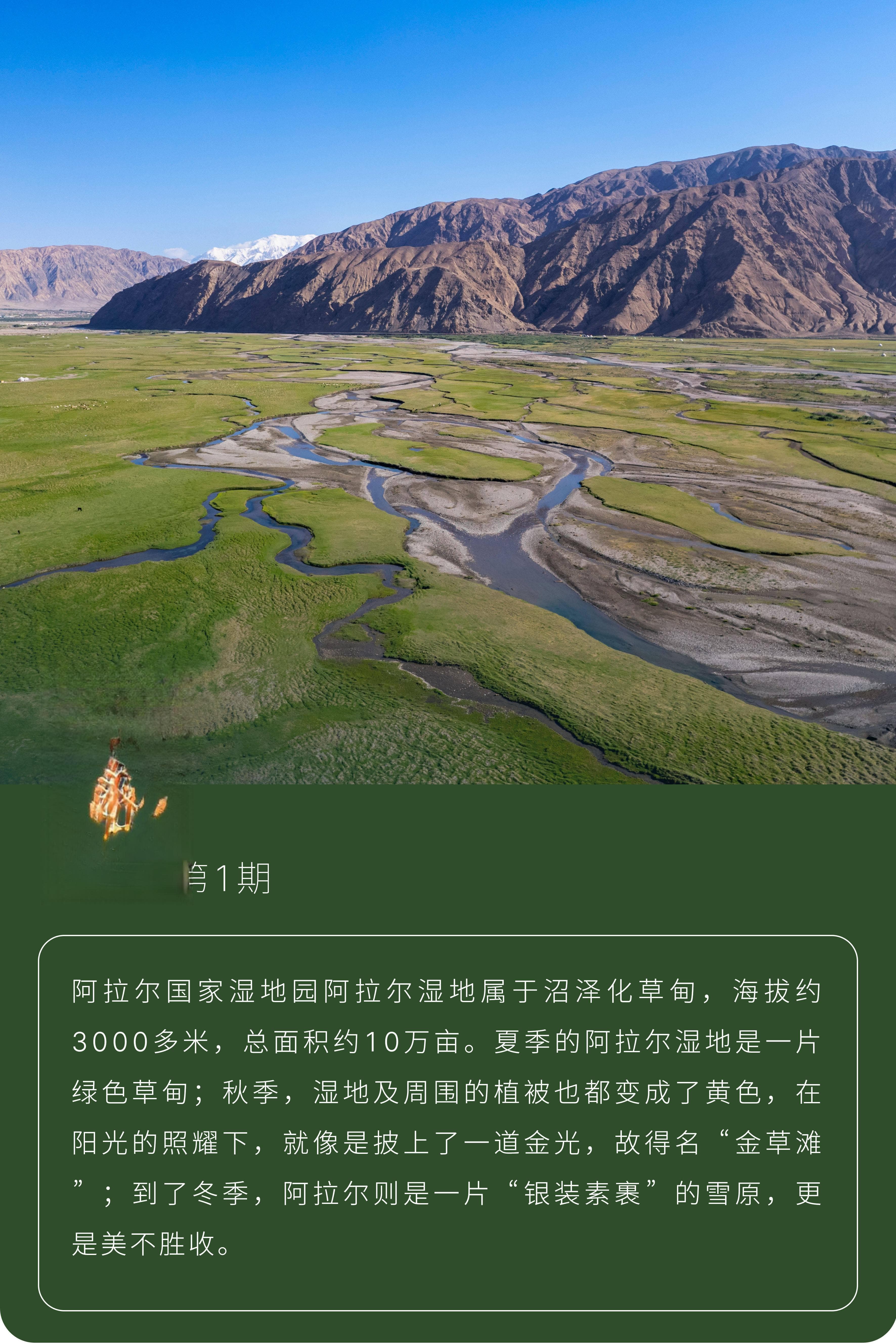 阿拉尔湿地公园：帕米尔高原上的“金草滩”