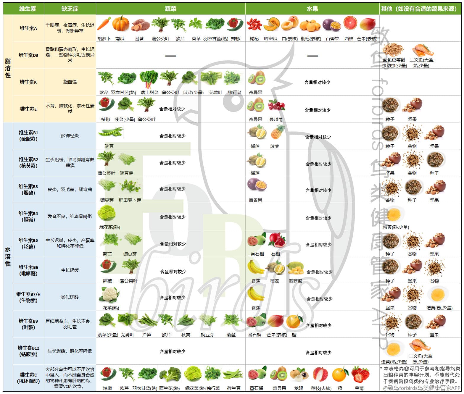 怎样才能给鹦鹉提供均衡的饮食呢？