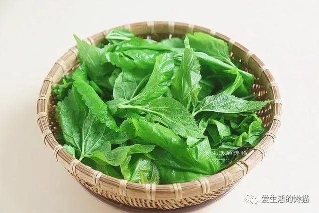 春季到了，遇到这5种“芽菜”抓紧吃，营养极高，味道好，错过就要等一年
