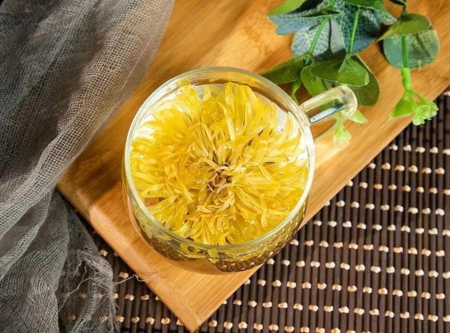 已到重阳日，饮哪种菊花