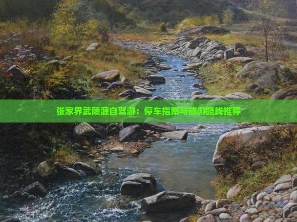 张家界武陵源自驾游：停车指南与旅游路线推荐