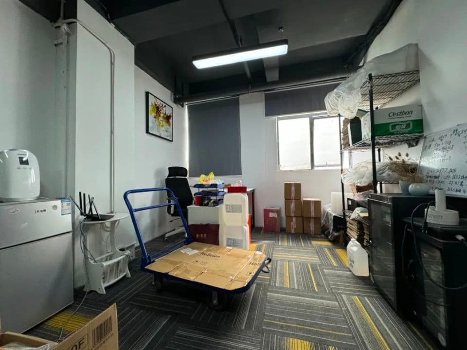 深圳“假装上班公司”：30元一天付费“上班”，失业人的“乌托邦”？