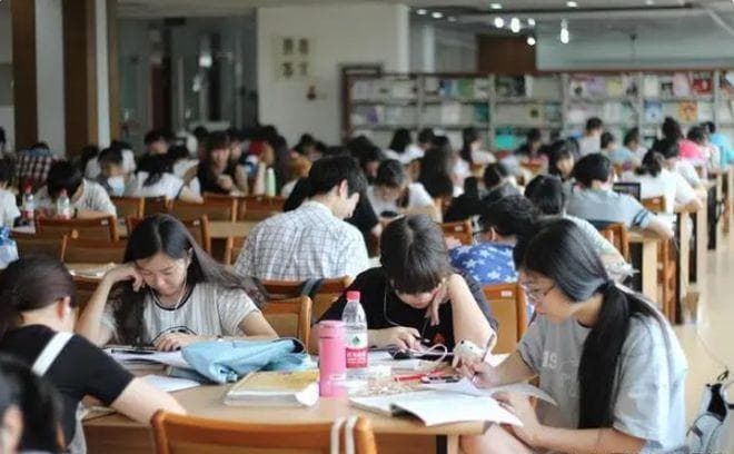 如何应对不喜欢的大学专业？转专业路径与成长策略探讨