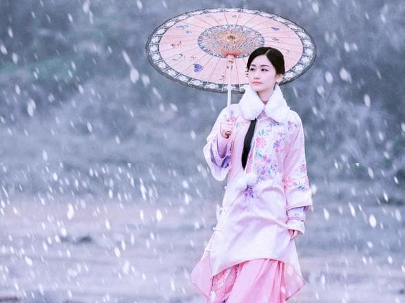 陆游《看梅绝句五首》：七绝组诗里的梅花意象与人生感悟