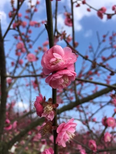 韶关一日游：探秘自然奇观与历史文化之旅