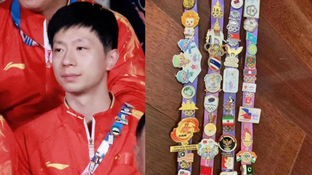 最近很火的OGG和PIN到底是什么意思？