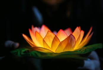 资江景区：原始与秀丽并存的山水画廊