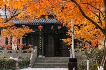 南京的秋天也太绝了吧！南京8个赏秋好去处，速速收藏