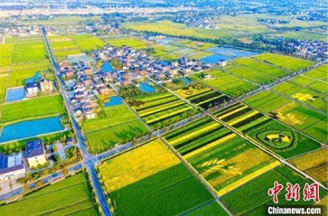 深化“千万工程” 浙江为何落下这“三子”？