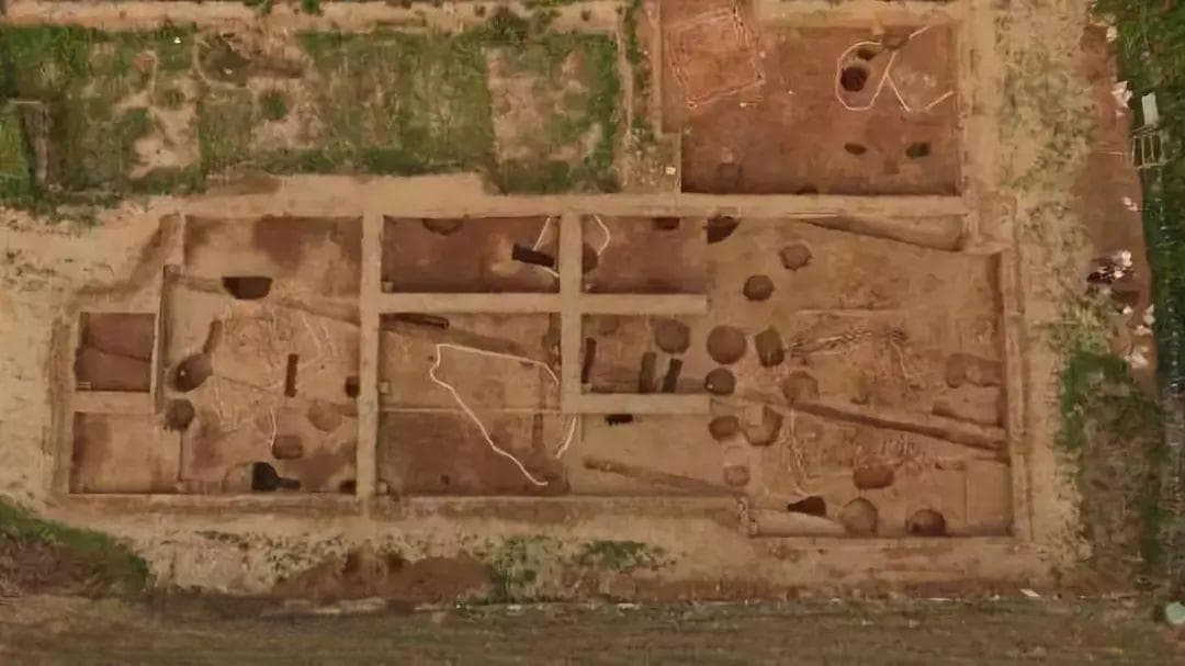考古发现：中国家猪驯化历史可追溯至7500年前