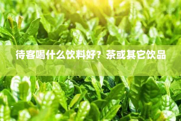 待客喝什么饮料好？茶或其它饮品选择指南