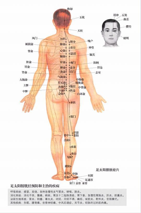 一透皮，二透肉，三透骨，打经这条通‬络，百病自然消