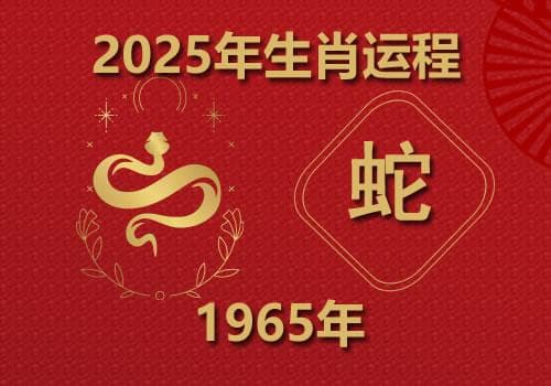 1965年属蛇人2025年全年运势(今年多大)