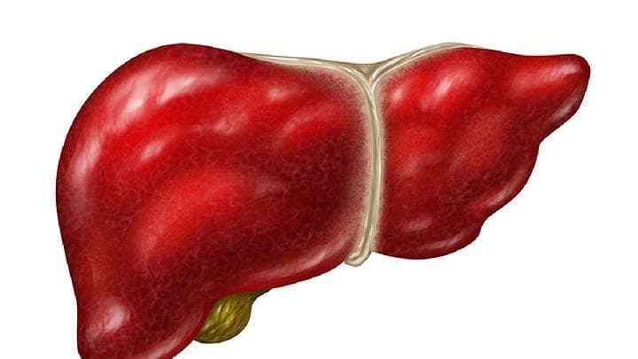 肝硬化后出现黄疸怎么办？一文读懂病因、症状与应对措施
