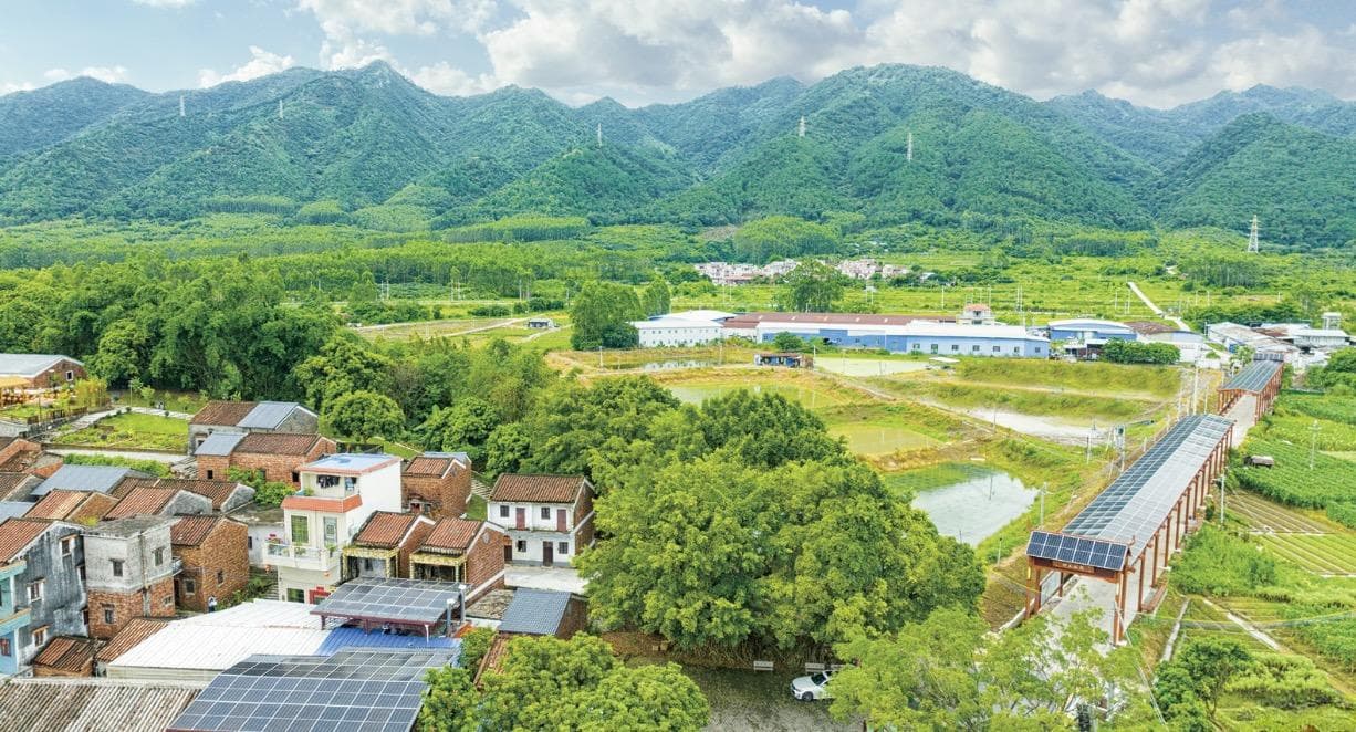 “输血”变“造血”，让村集体经济壮起来