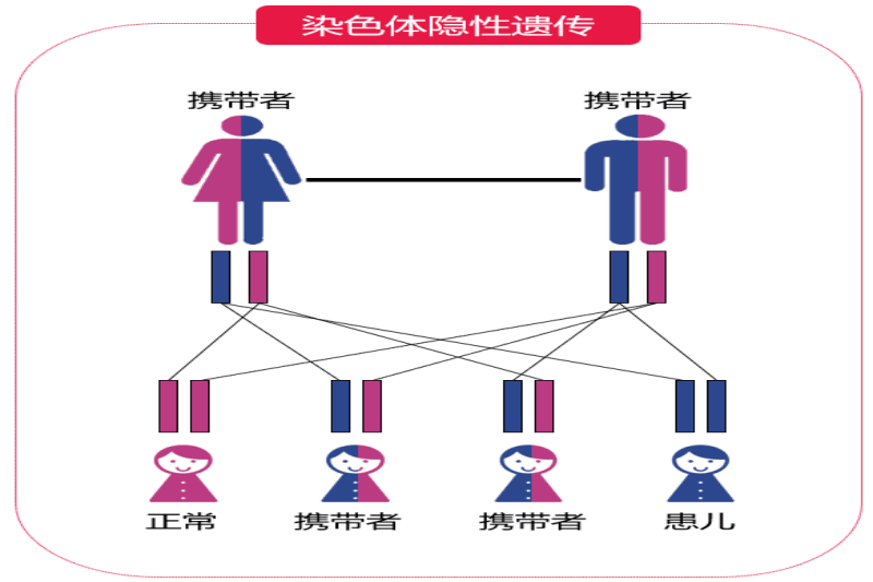 当妊娠遇上地中海贫血……