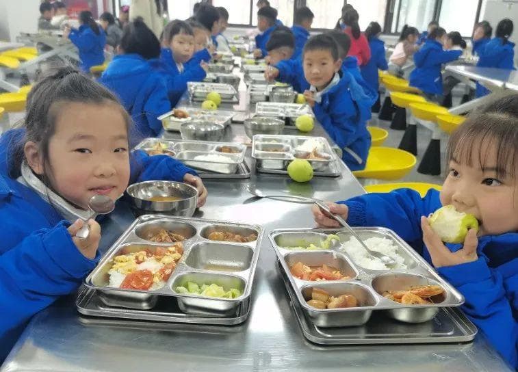 校园食堂更友好，永嘉改革中小学食堂采购配送让孩子吃上“放心餐”！
