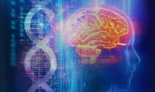 FDA 已加速批准 Kebilidi 用于治疗 AADC 缺乏症