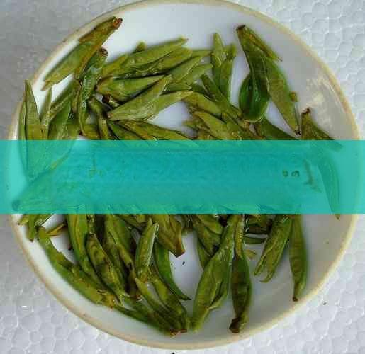 探究关键因素：水温、茶种与时间对茶叶冲泡效果的影响