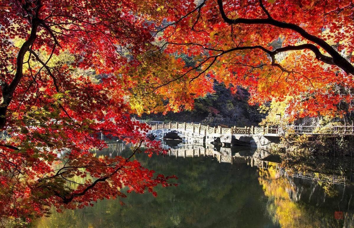 10-12月，国内10个绝佳的红叶观赏地，一年仅美一个月的浓艳秋色