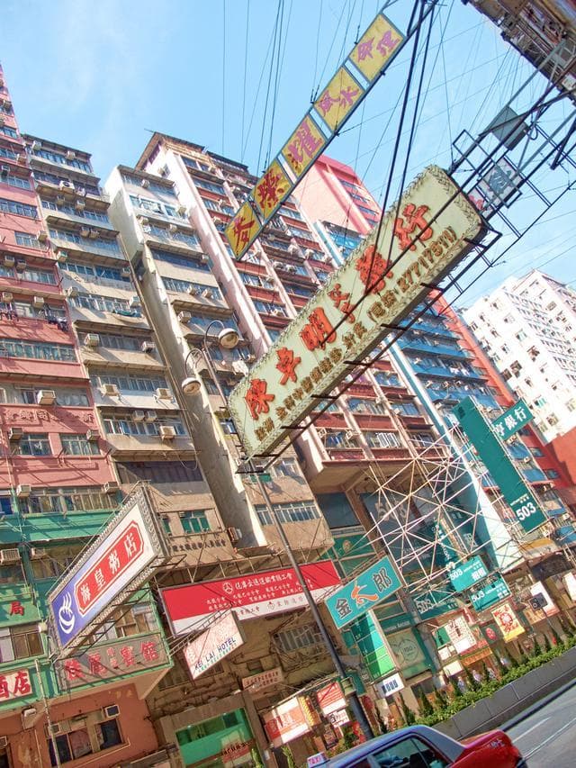 香港麦理浩径全攻略：徒步者的终极探险指南