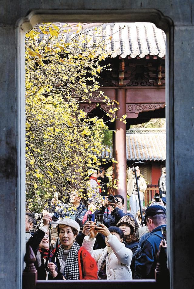 从赏花到“赏花经济”：杭州的文旅创新探索